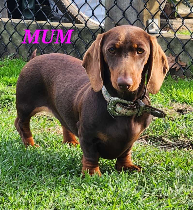 Mother — Daisy